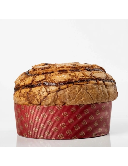 Panettone all’Albicocca